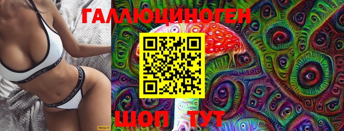 Псилоцибиновые грибы Cubensis Ухта