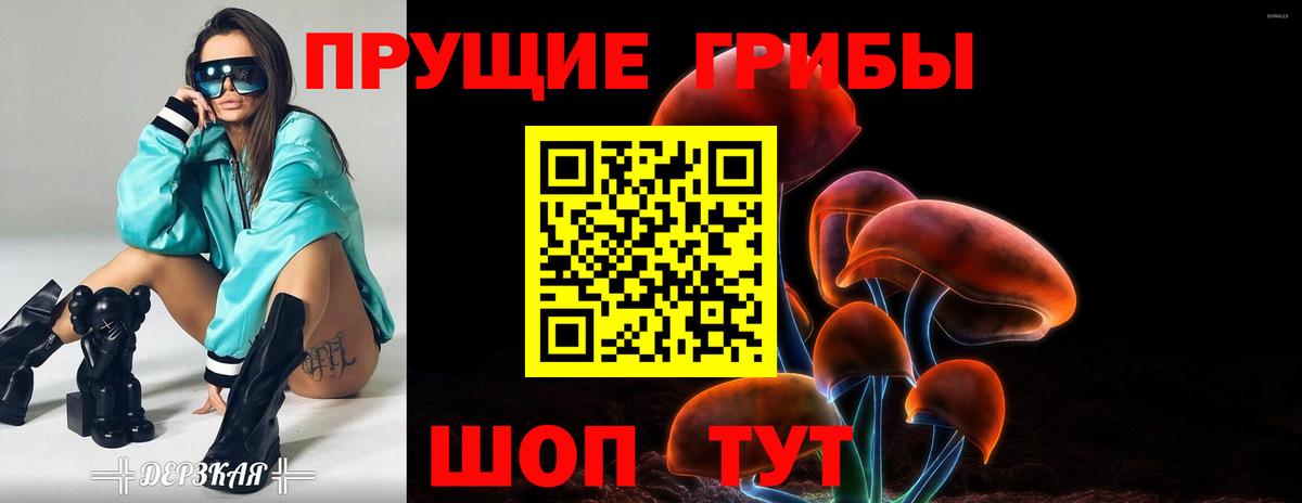 купить закладку  Вход с VPN  Ухта  Псилоцибиновые грибы прущие грибы  Галлюциногенные грибы Psilocybine cubensis 