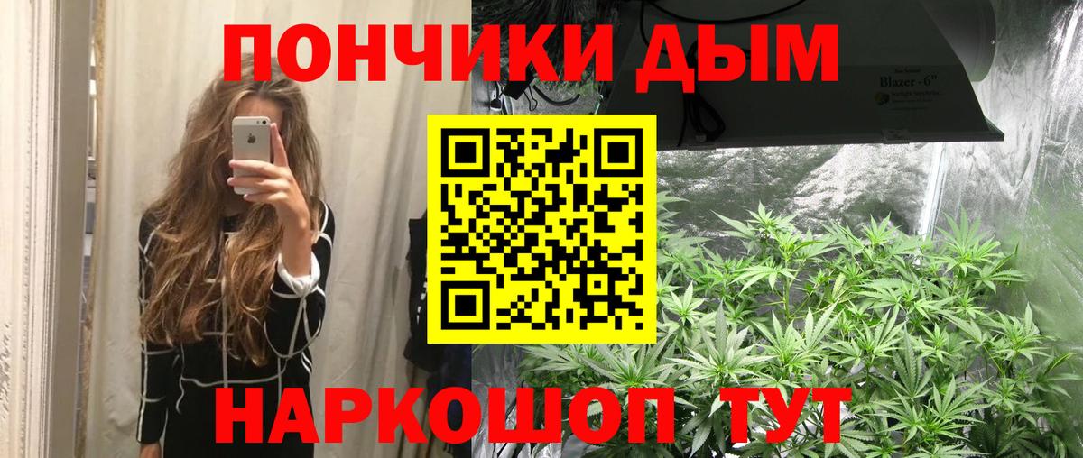 Каннабис индика Ухта